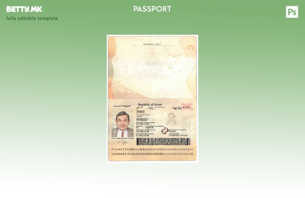 Шаблон за пасош на Гана во модерен стил